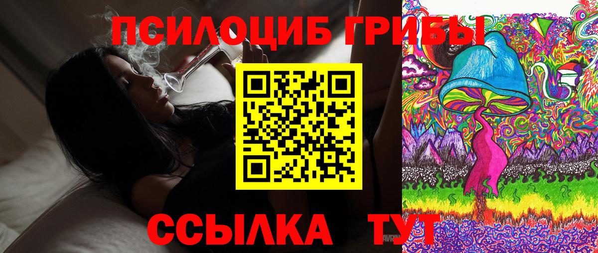 Галлюциногенные грибы Cubensis  Вход с VPN  Заводоуковск 