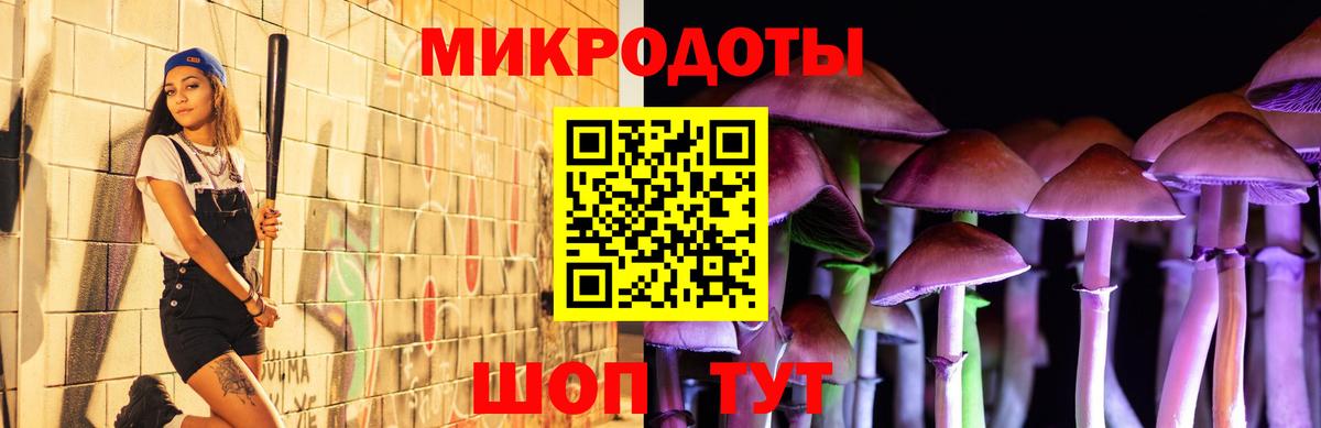 Псилоцибиновые грибы прущие грибы Заводоуковск